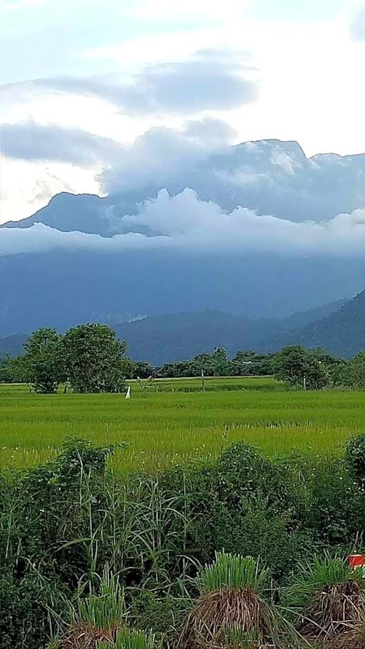 Ban Thung Talay Mok Chiangdao