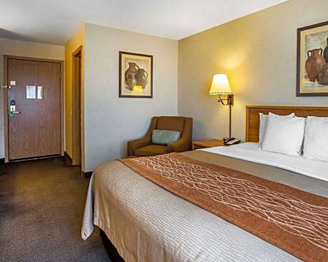 1 King Bed, Nonsmoking