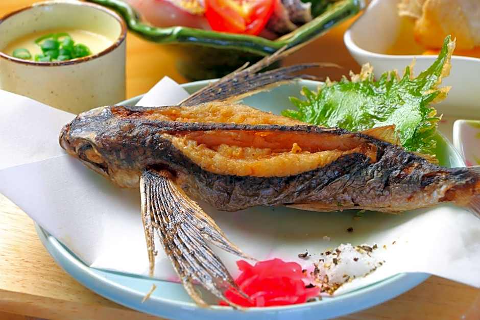 Tanegashima Minshuku Yuyu