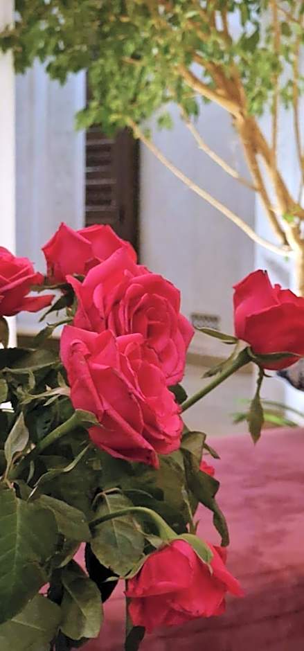 Riad de Vincent