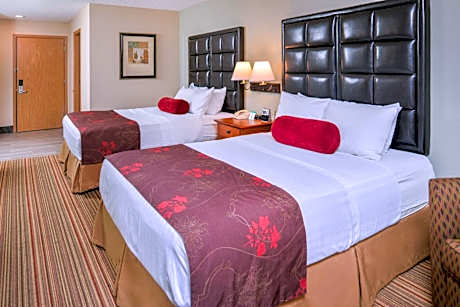 Queen Room with Roll-In Shower - Mobility Access