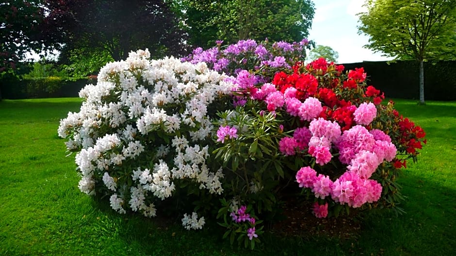 Chambres d'hôtes Le Bas Rassinoux