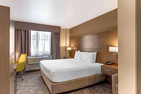 King Room with Roll-In Shower - Disability Access