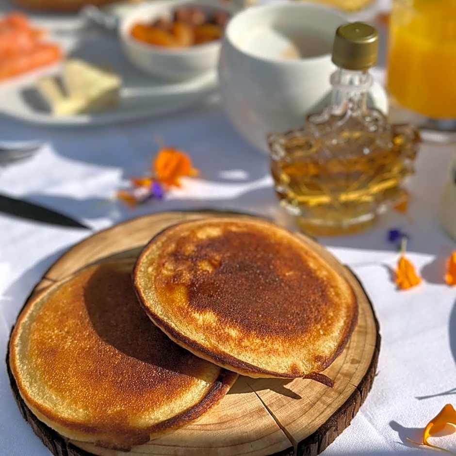 Hotel Le V de Vaujany