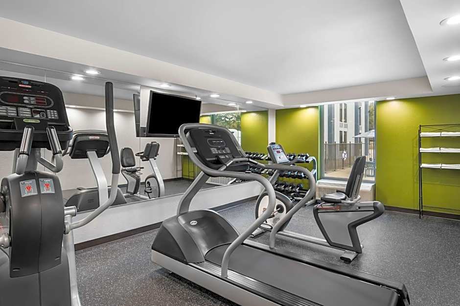 Spark by Hilton Richardson Dallas