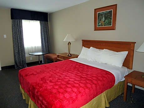 Queen Room - Non-Smoking