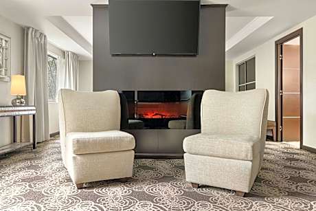 1 Bedroom Presidential Suite, 1 King