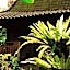 Bali Mountain Retreat