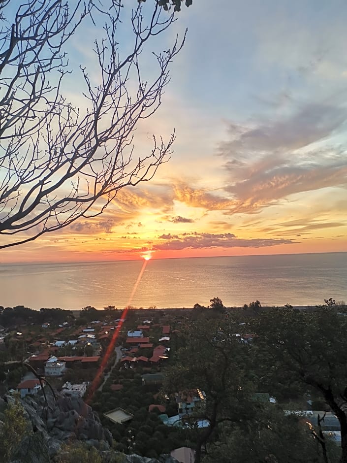 Village Garden Pansiyon