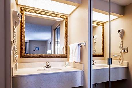 1 King Bed, Nonsmoking