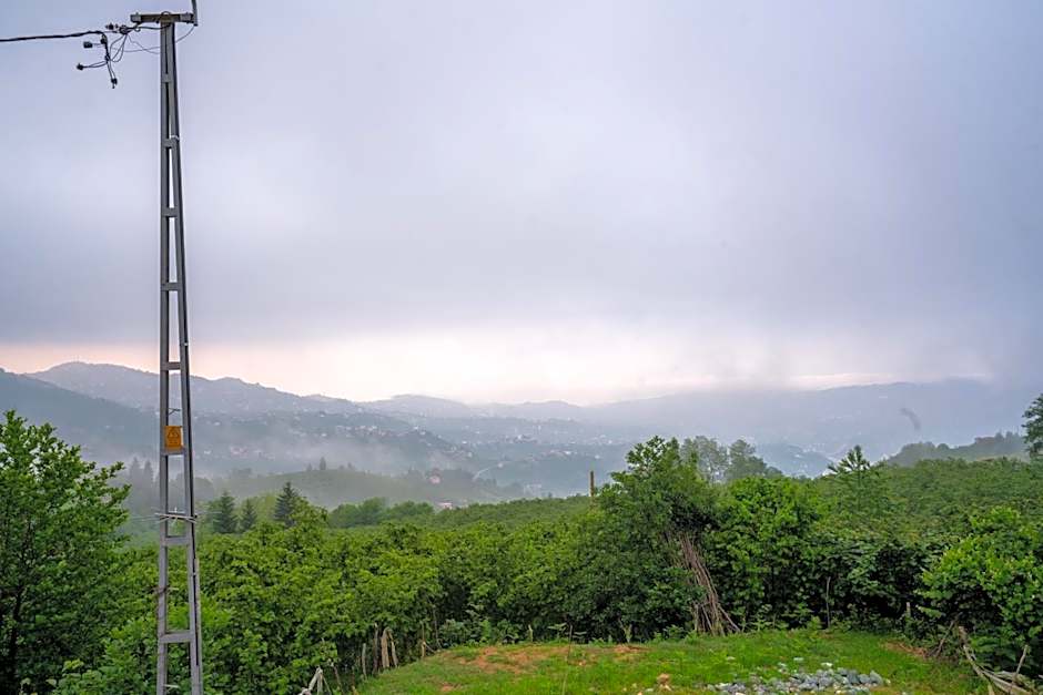 POISON GARDEN SUİTE