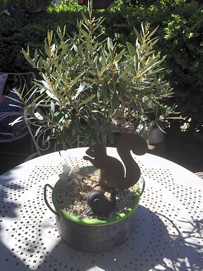 Hotel Le Méditérranée