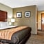 Comfort Inn Blue Ash North