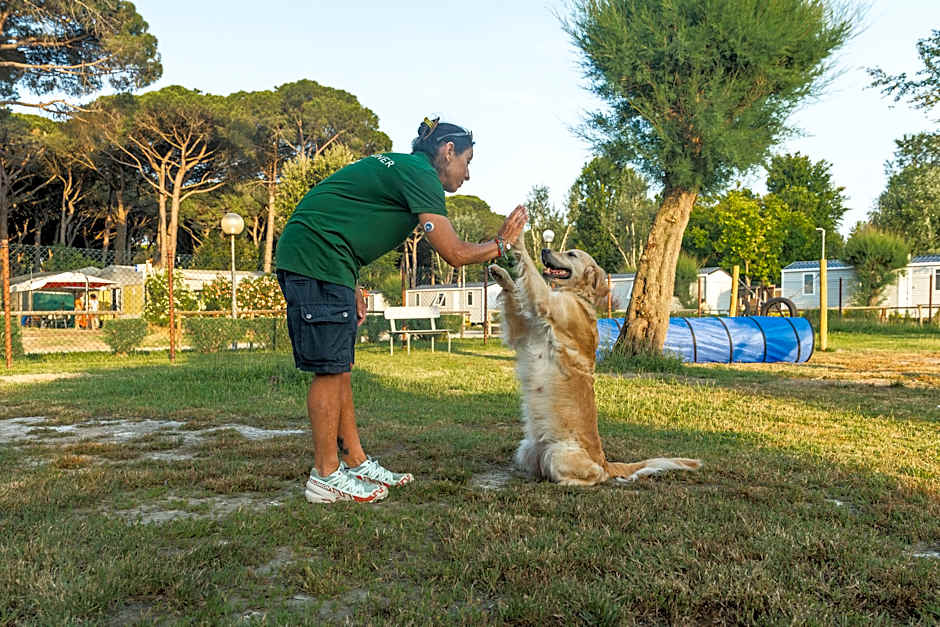 Club del Sole Spina Family Collection