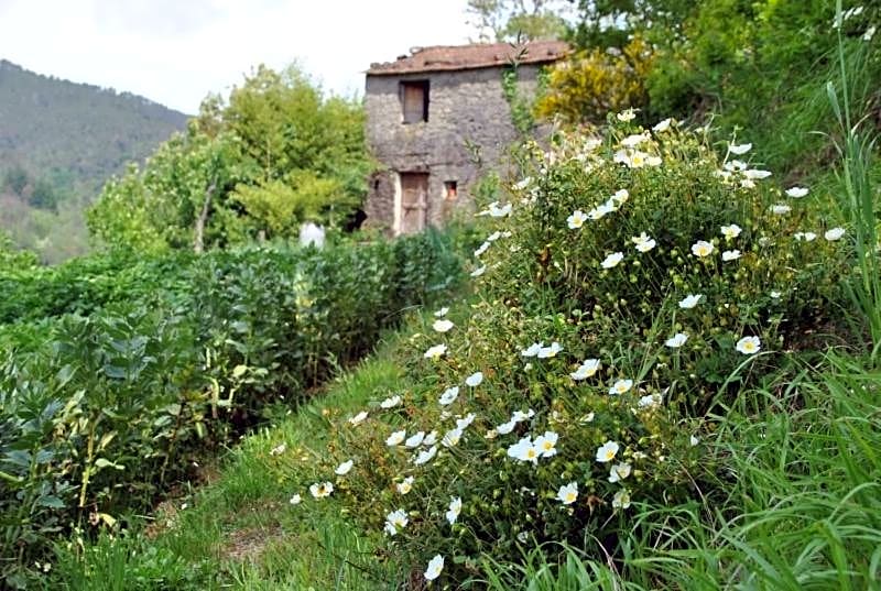 Il Ghiro B&B
