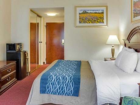 Double with 2 Double Beds - Smoking