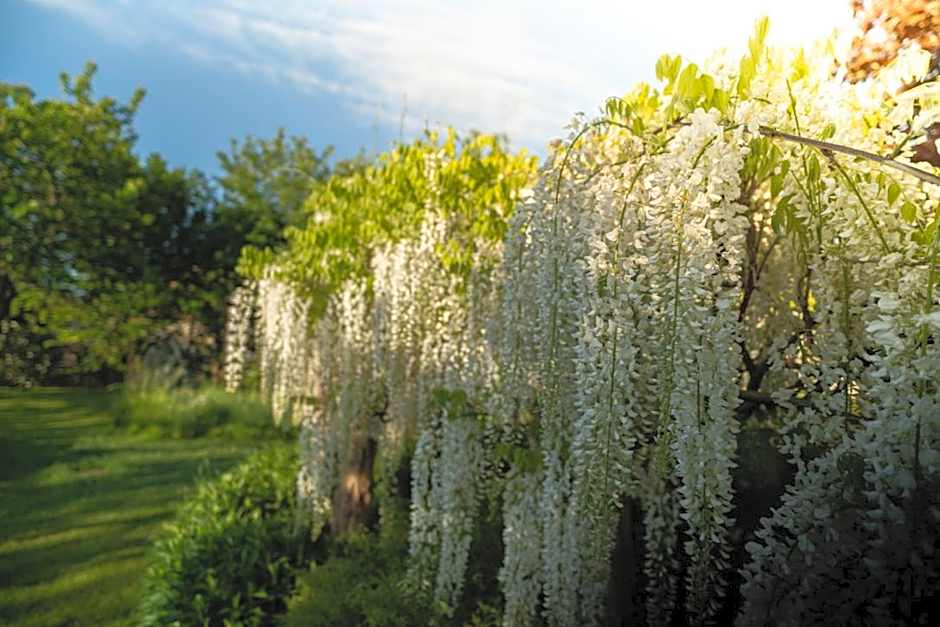 Les Jardins des Soussilanges
