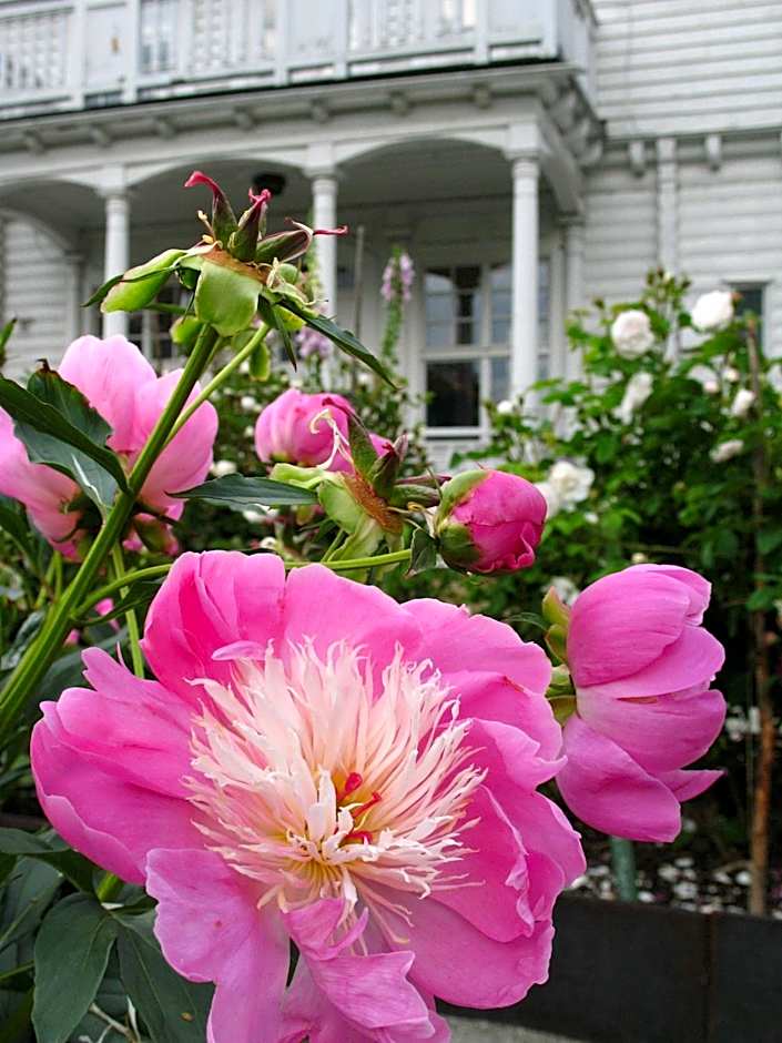 Wij Trädgårdskök på Wij Trädgårdar