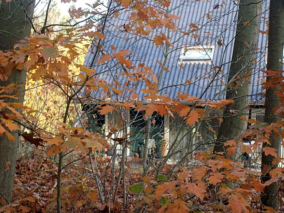 Horsetellerie Rheezerveen