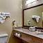 Comfort Suites Plainview