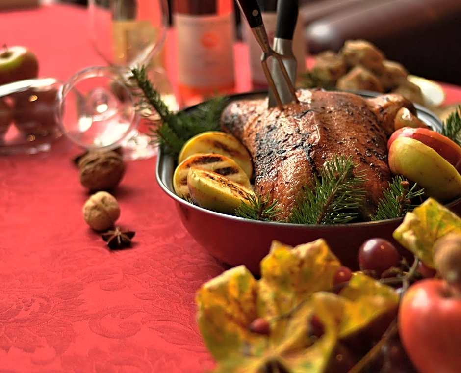 Ambassador Zlata Husa