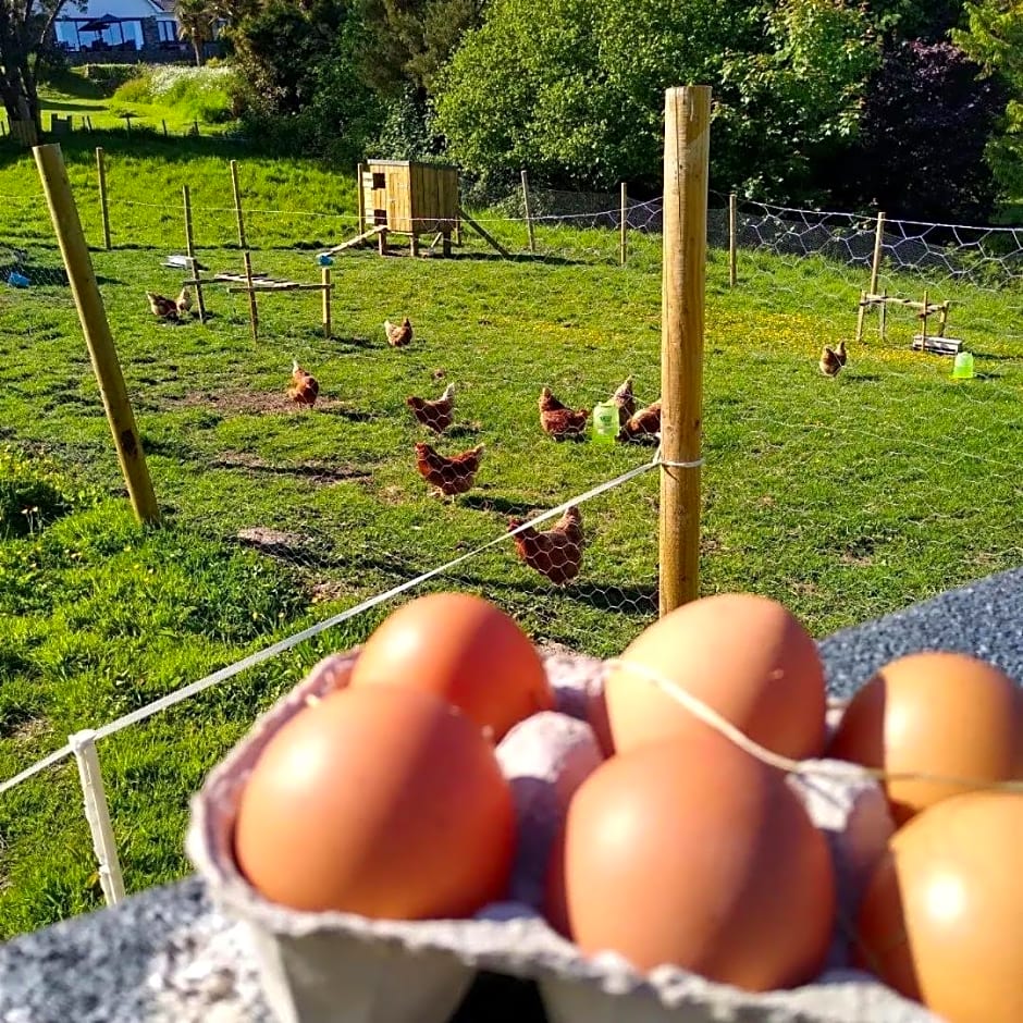 Kerryanna Country House Bed and Breakfast