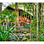 The Mouses House Rainforest Retreat
