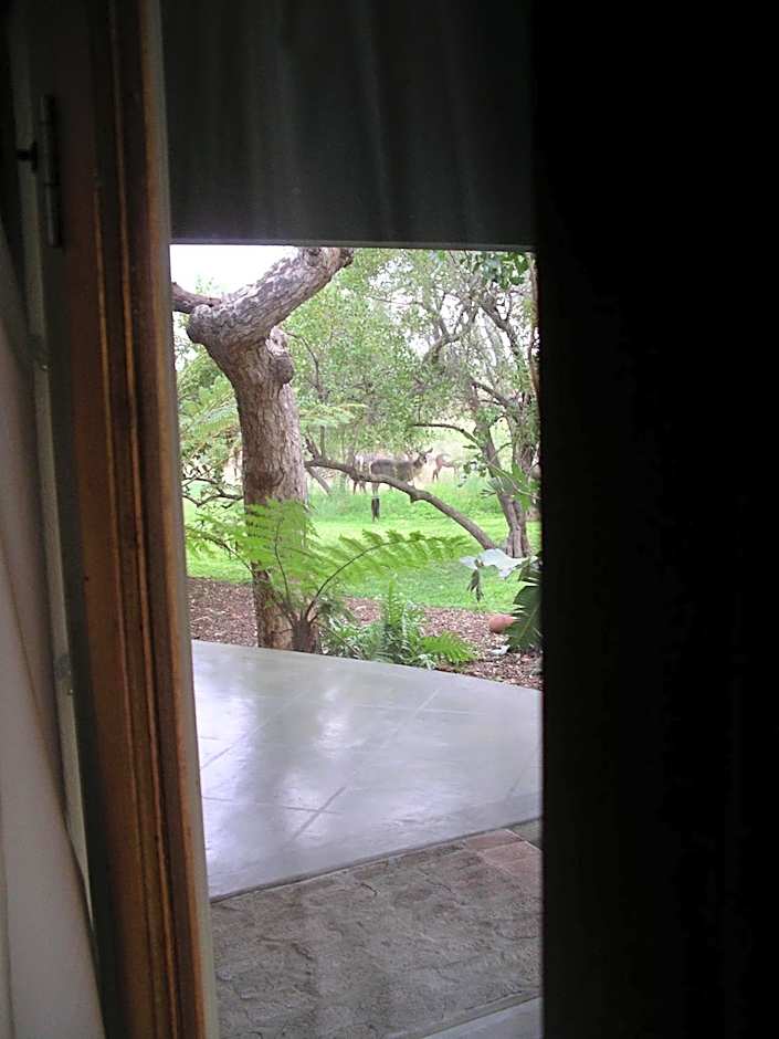 Tingala Lodge - Bed in the Bush