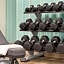 Holiday Inn Express & Suites Greenville-Downtown by IHG