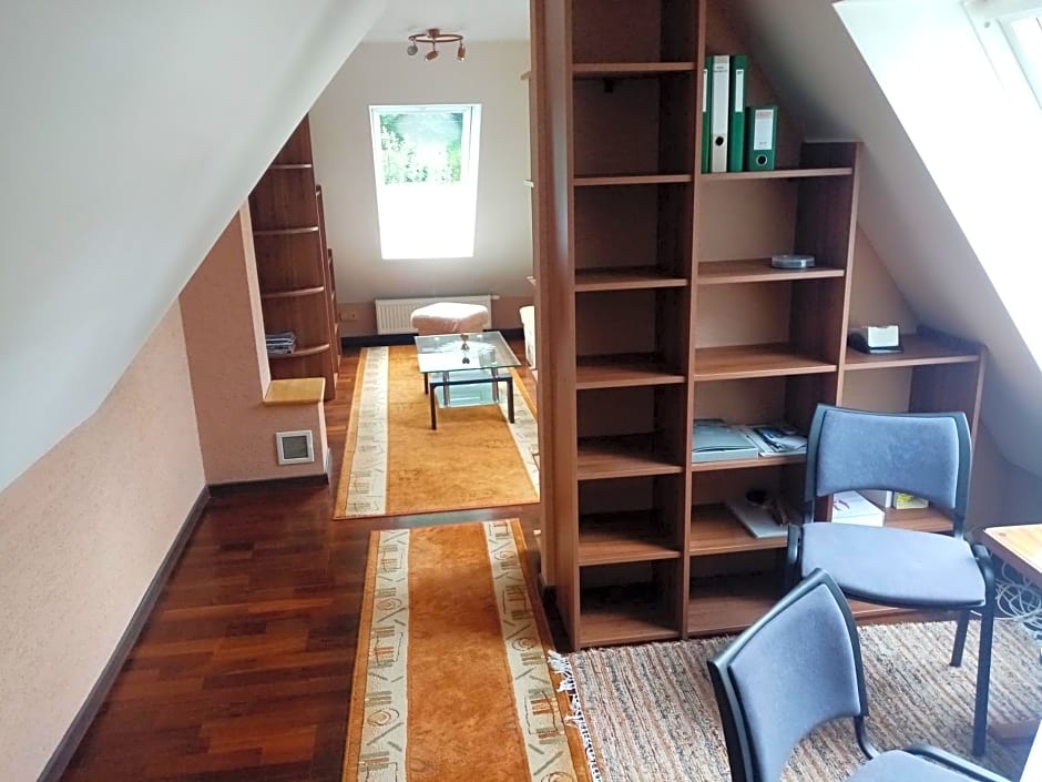 Apartmán Starý Mlyn