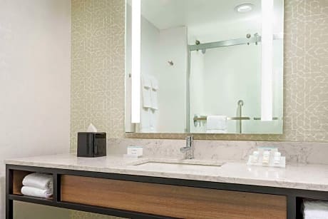 1 King Bed 1 Bedroom Suite With Terrace