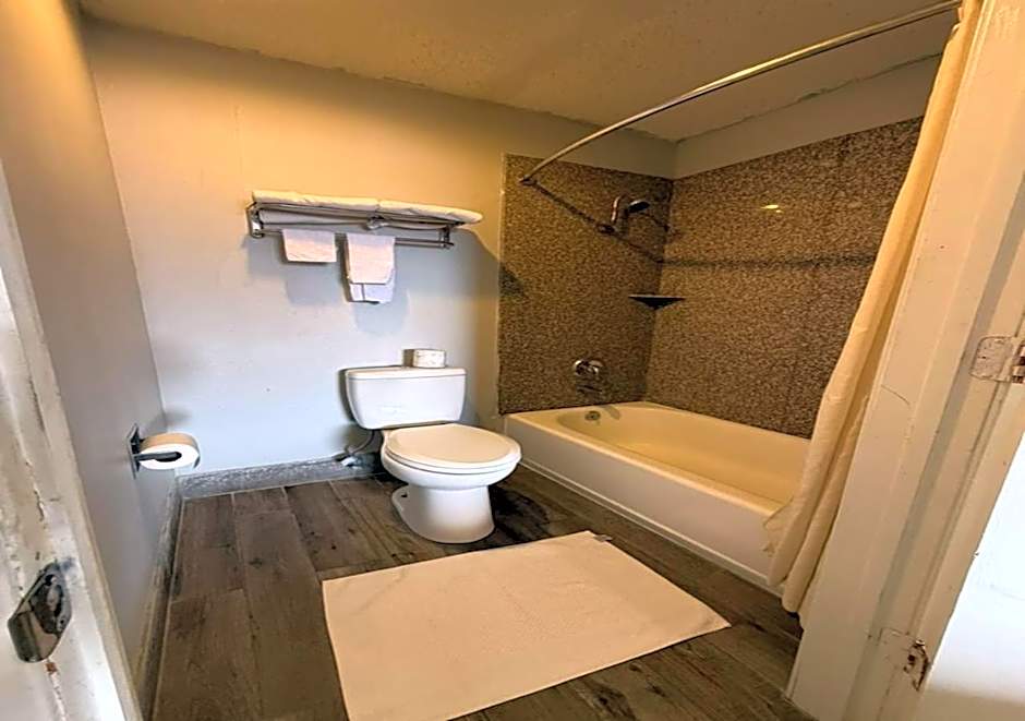 Regency Inn Three Rivers I-37