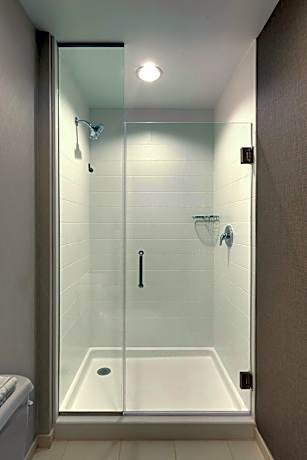 Suite, 1 King Bed with Sofa bed (Hearing Accessible) (1 King Bed and 1 Double Sofa Bed)