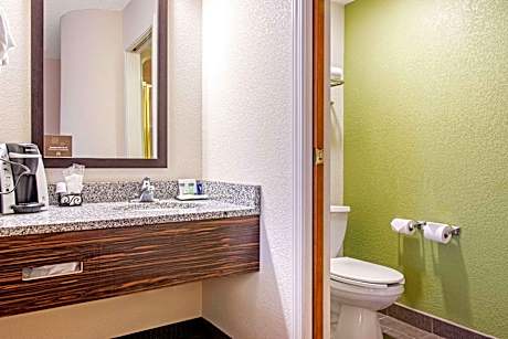 1 King Bed, Nonsmoking