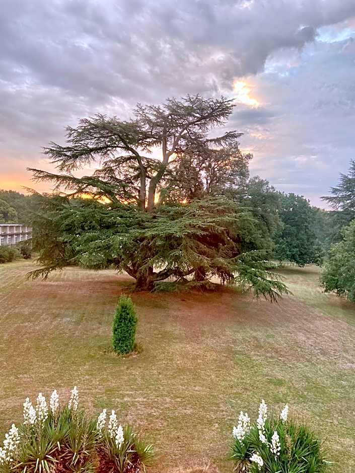 Château La Bainerie