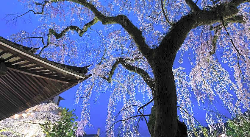 Arima Onsen Motoyu Ryuusenkaku