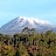 Kilimanjaro Wonders Hotel