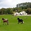 Muckross Riding Stables