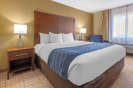 1 King Bed, Nonsmoking, Accessible
