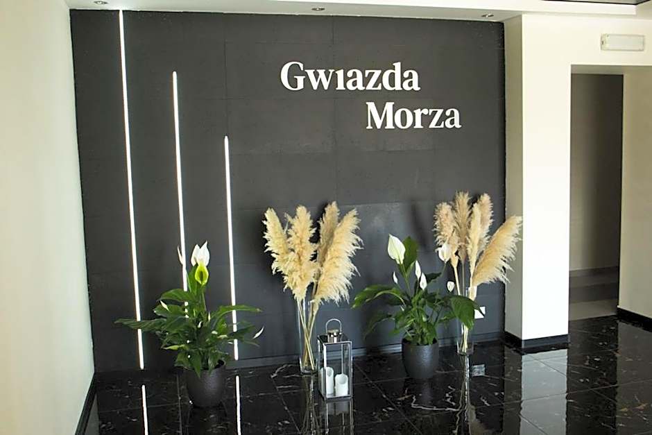 Gwiazda Morza