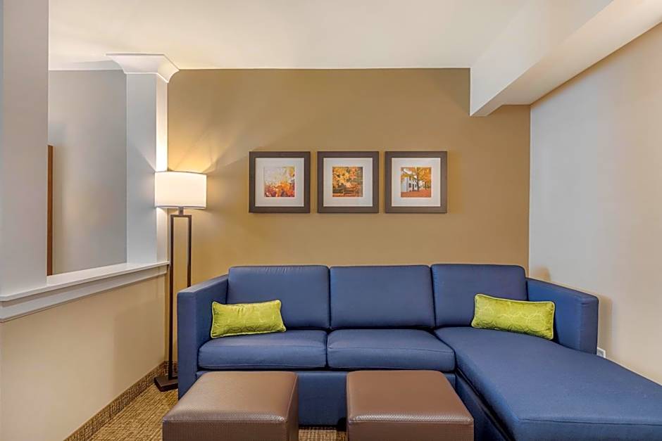 Comfort Inn & Suites Schenectady - Scotia