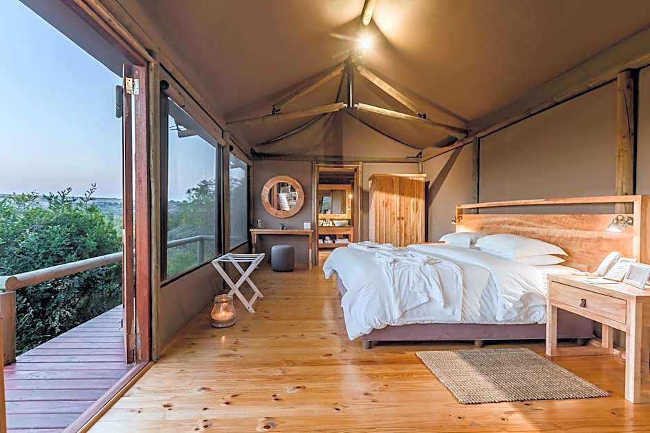 Hlosi Game Lodge - Amakhala Game Reserve