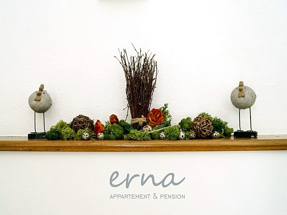 Pension Apartment Erna