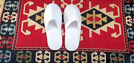 Budget Double or Twin Room