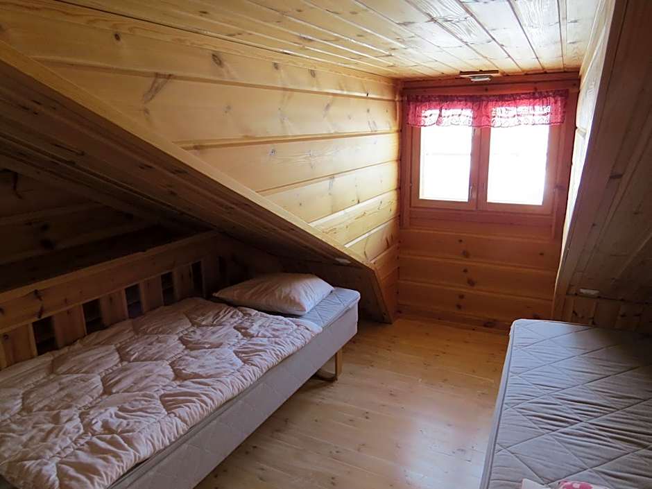 Arctic Polar Holiday Village