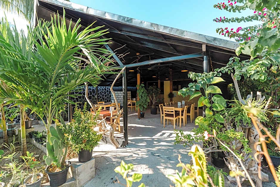 Turtle Maldives - Your Gateway to the Beach & Marine Adventures Await!