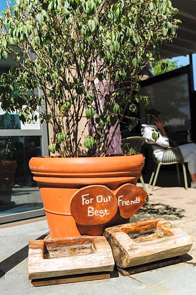 Trail-Inn Natur & Sporthotel