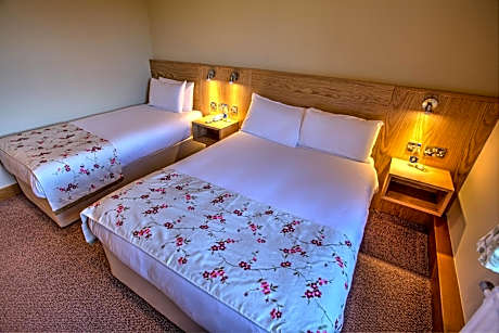 Family Room (2 Adults + 2 Children)