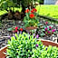 Il Casale nel Parco Guesthouse