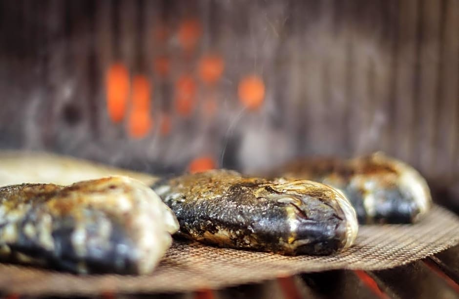 Logis Hotel Lons-le-Saunier - Restaurant Le Grill